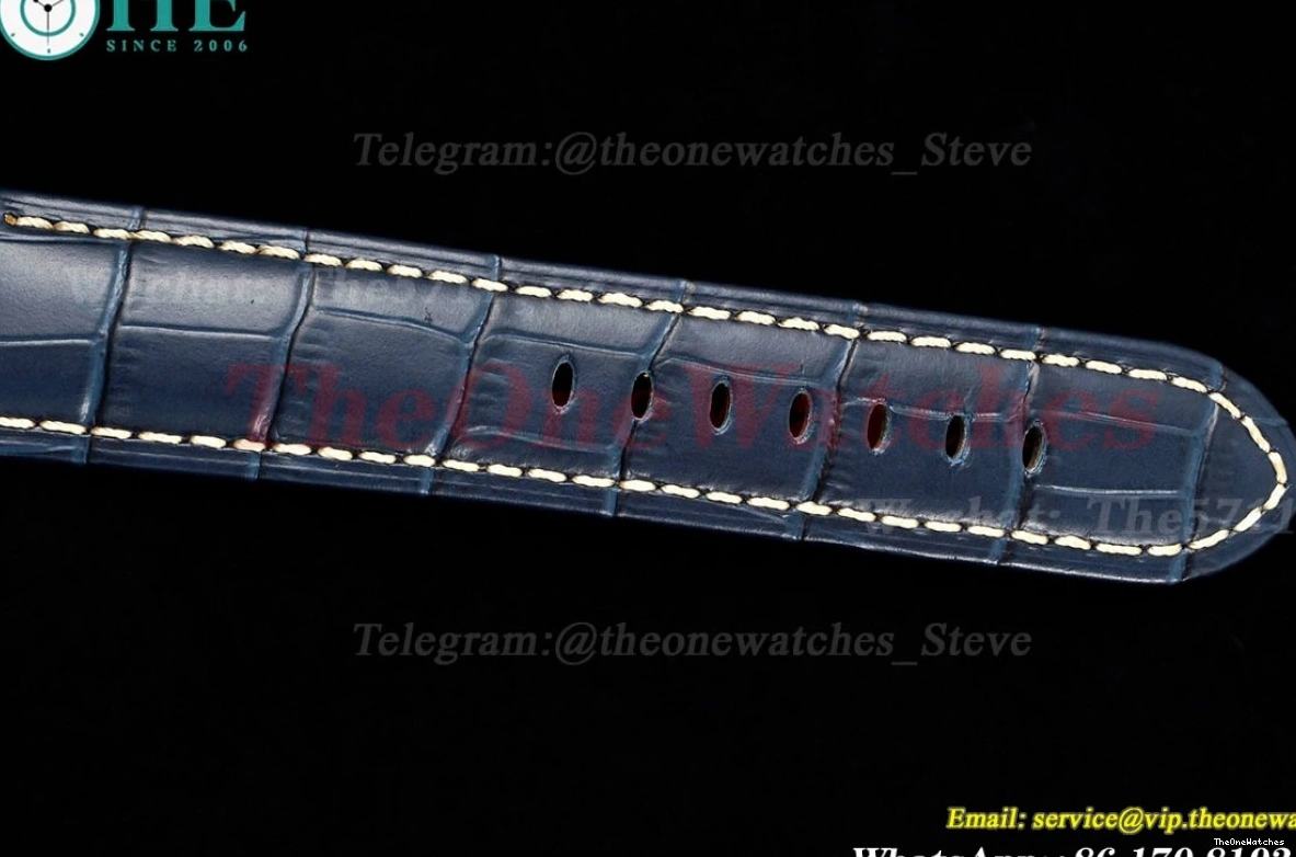 LE A9010 Dial PAM1313 44mm TTF Luminor SS Blue 0120